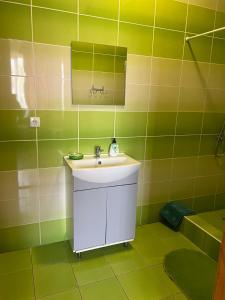 ChynadiyovoMini-Hotel "Nord"的绿色浴室设有水槽和镜子