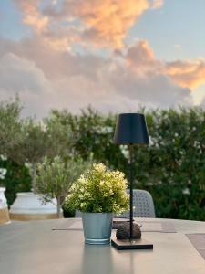 莫诺利索斯Hermoso Luxury Suites的坐在桌子上的一盏灯,上面有盆栽植物