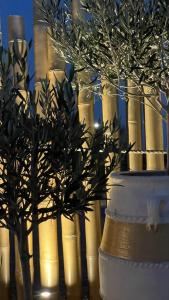 莫诺利索斯Hermoso Luxury Suites的窗边白色花瓶里的植物
