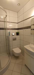 库多瓦-兹德鲁伊Apartamenty Gościnne Idylla的浴室配有卫生间、淋浴和盥洗盆。