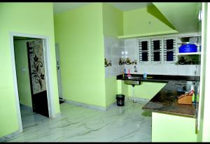 奇克马格尔Royal Guest House的厨房设有绿色的墙壁、水槽和柜台。