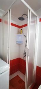基萨莫斯Elia Guesthouse的浴室拥有红色和白色的墙壁,配有淋浴。