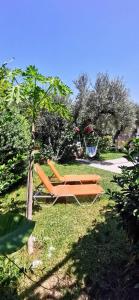 基萨莫斯Elia Guesthouse的坐在院子里草地上的橙色椅子