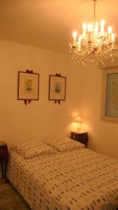 圣让·德·布赖Pour visiter ou travailler dans le LOIRET的一间卧室配有一张床和一个吊灯