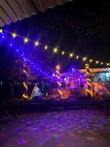 瓦亚纳德HAPPY FEET CAMPING的一个带圣诞灯和游乐场的花园