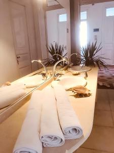 卢克索Alam B&B Luxor的浴室设有水槽、毛巾和镜子