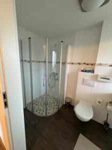 舍讷费尔德SkyPension的带淋浴和卫生间的浴室。