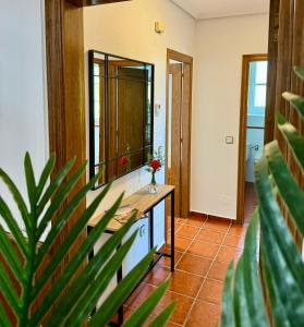 利亚内斯Apartamentos Santa Marina的一间带柜台、镜子和植物的浴室