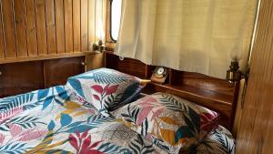 TanlayL'Amazone - bateau à quai sur le canal de bourgogne的一张带两个枕头的床