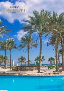 艾因苏赫纳Lasirena mini egypt的海滩上一棵棕榈树和大海