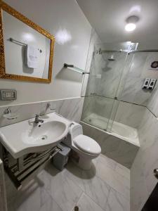 查查波亚斯Terra Imperial的一间带水槽、卫生间和淋浴的浴室