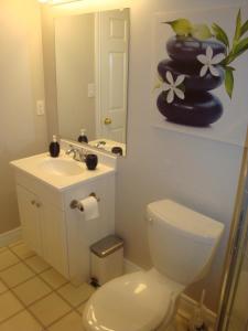 金斯顿Comfortable apartment的一间带卫生间、水槽和镜子的浴室