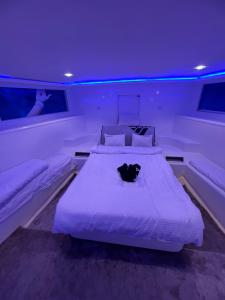赫尔格达KUBA LuXus tour - Hotel boat in sahl Hashesh - Hurghada的卧室配有黑猫,睡在床上