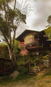 La PrimaveraCurigua Ecolodge-Sendero Cascada la milagrosa Buga的山坡上树屋