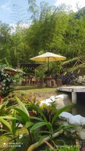 La PrimaveraCurigua Ecolodge-Sendero Cascada la milagrosa Buga的一个带桌子和遮阳伞的庭院