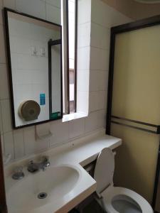 布卡拉曼加Hotel Sevilla Plaza的一间带水槽、卫生间和镜子的浴室