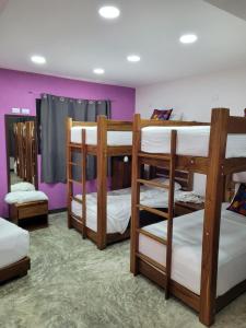 艾库玛尔Itza Hotel Akumal - Dive House的客房内的一组双层床