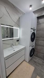 基希讷乌AIRPORT-TAXI-PARKING-Card的一间带水槽和洗衣机的浴室
