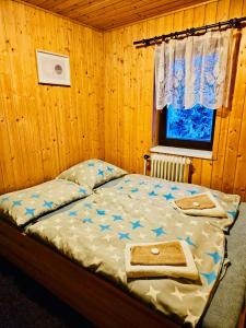 什平德莱鲁夫姆林Bouda Bílé Labe的木制卧室内的一张床位,卧室设有窗户
