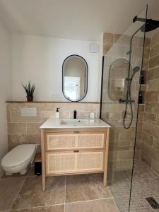 梅里尼亚克Great Room 29的一间带水槽、卫生间和镜子的浴室