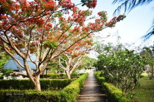 TavewaCoralview Island Resort的穿过种有树木和鲜花的花园的小路