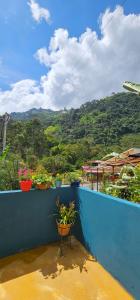 伊瓦格Entre Cantos - Hospedaje Rural的蓝色墙壁上种植了盆栽植物的阳台