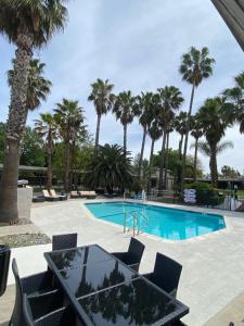 戴维斯Prodigy Hotel, a Days Inn by Wyndham的一个带棕榈树和桌椅的游泳池