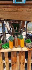布兰卡滩Buda House Beach的木桌,四种植物装在玻璃罐里