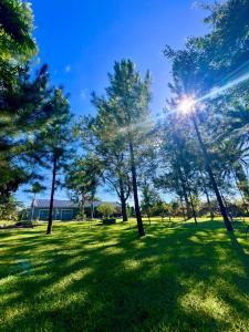 KitweSummerfields & Gardens Lodge的天空中树木和阳光的公园