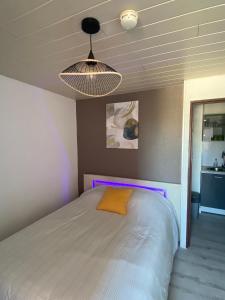 阿格德角Studio Centre Port avec piscine résidence Port Richelieu的一间卧室配有一张紫色照明床