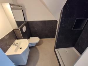 阿尔布斯塔特Loft Apartment am Bahnhof的一间带水槽、卫生间和镜子的浴室