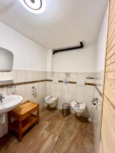 Saas-BalenHoliday House Lärchenheim的浴室设有2个卫生间和水槽
