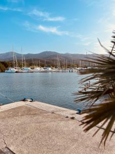滨海阿热莱斯尼德酒店的享有码头和水中船只的景色