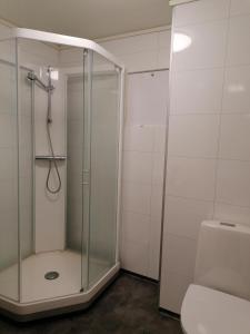 约尔珀兰约尔珀兰维克莱特酒店的一间带卫生间的浴室内的玻璃淋浴间