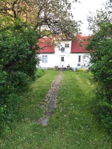 TingstädeMartebo Bed & Breakfast的草上红色屋顶的白色房子