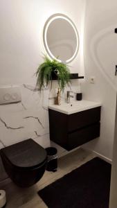 沙勒罗瓦Logement romantique et cosy的一间带水槽、卫生间和镜子的浴室