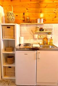 扎布利亚克Apartment & Rooms Sweet Dreams的一个带水槽和柜台的小厨房
