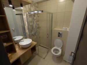 埃尔埃尼塔Pensiunea Sunshine的浴室配有2个盥洗盆、卫生间和淋浴。
