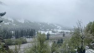 瓦勒博内Guesthouse Mountain的一片覆盖着树木和山脉的雪地