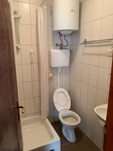 科拉欣Vila Rakoč的一间带卫生间和水槽的小浴室
