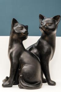 卡普里Roberhouse Tragara 37的两个黑猫彼此相邻