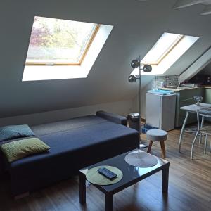 鲁法克Joli gîte F2 indépendant avec jardin privé的客厅设有床和窗户