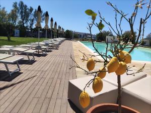 拉迪斯波利Riva di Palo Resort的游泳池旁的一排桌椅