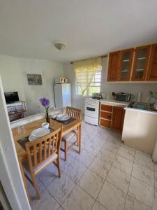 查尔斯城Coconut house Charlestown nevis的一间带桌椅的厨房和一间带冰箱的厨房