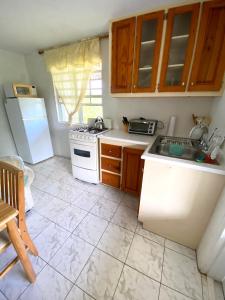 查尔斯城Coconut house Charlestown nevis的厨房配有水槽和白色冰箱