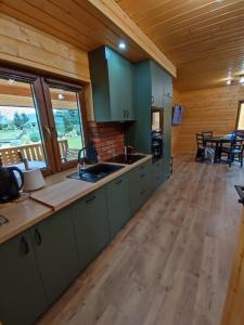 翁格罗维茨Kamienica House 9的铺有木地板的厨房配有绿色橱柜