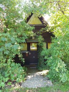 希格斯多夫Ferienhaus Bergwiese的一座有黑色门和一些树木的房子