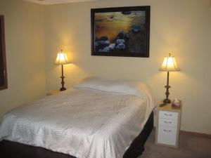 Mount Torry FurnaceWintergreen的一间卧室配有一张带两盏灯的床。