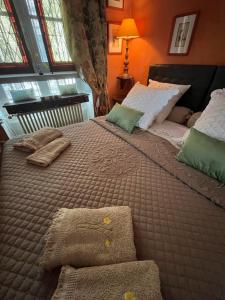 阿维尼翁Cocooning Avignon的一间卧室配有两张带枕头的床。