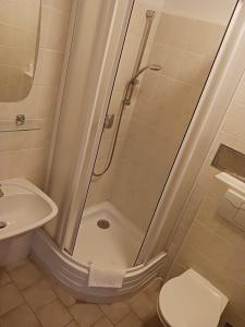 济泽罗河畔帕塞基Hotel Albert的带淋浴、卫生间和盥洗盆的浴室